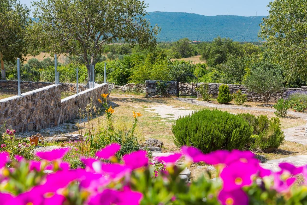 Vlatka Holiday home