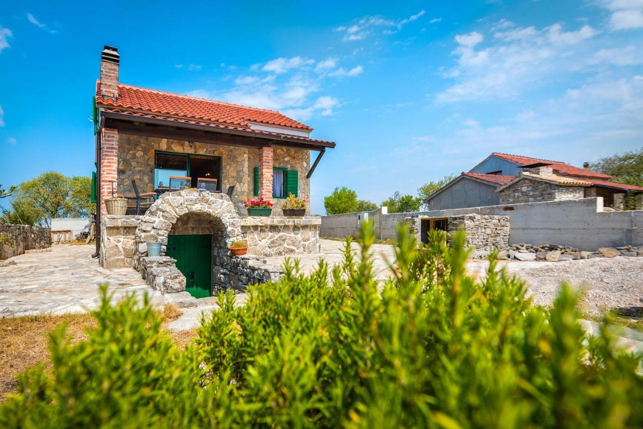 Vlatka Holiday home *