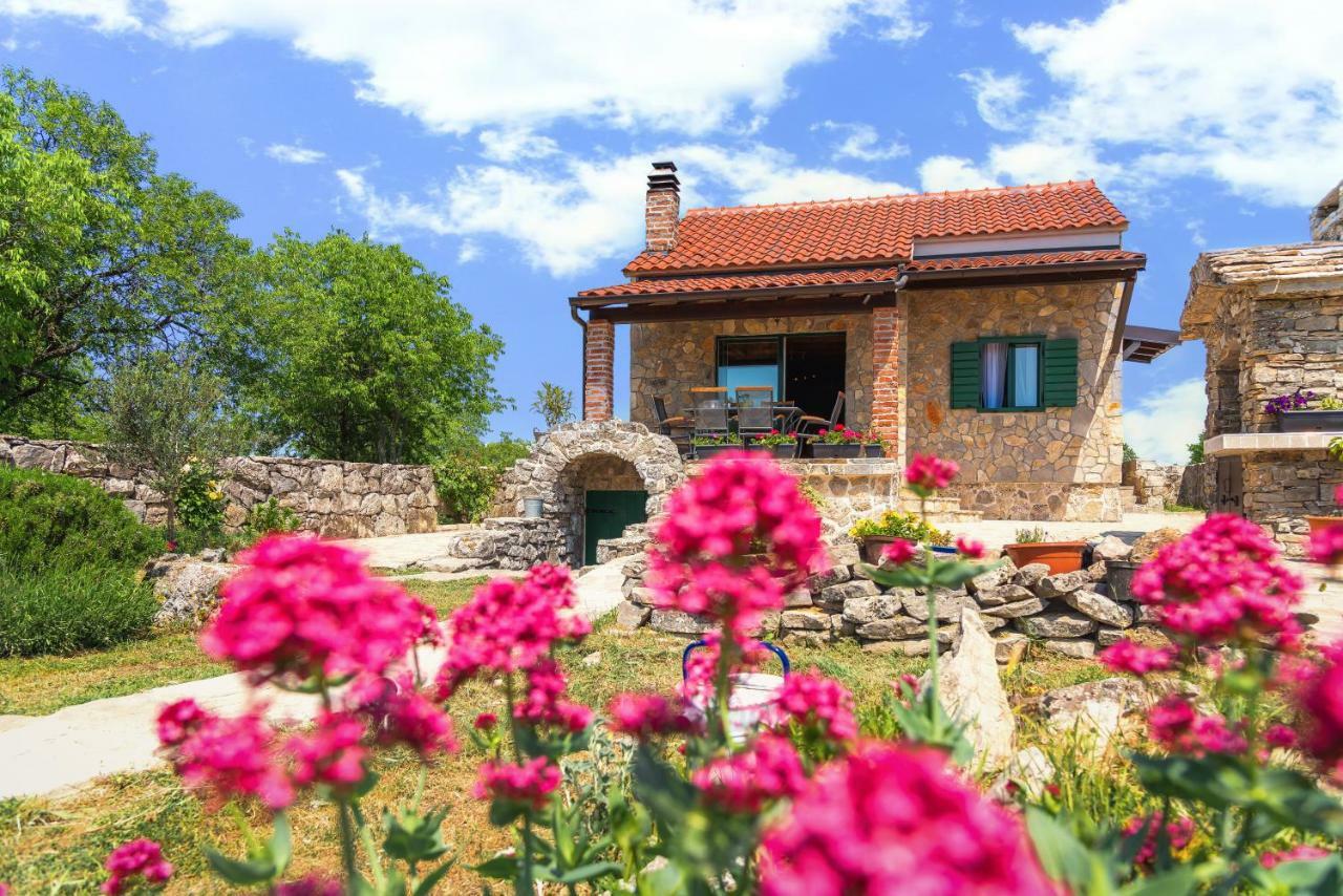 Holiday home Vlatka *